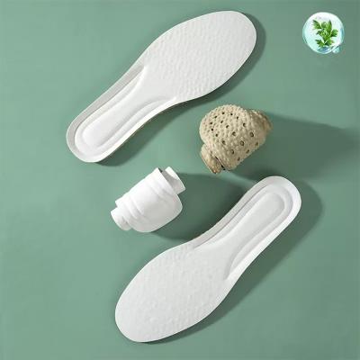 Insoles2